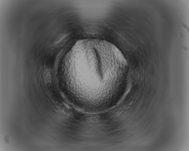 X0000091311394200708311347