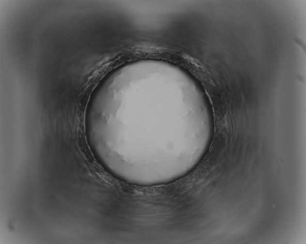 X0000091311397200708311347