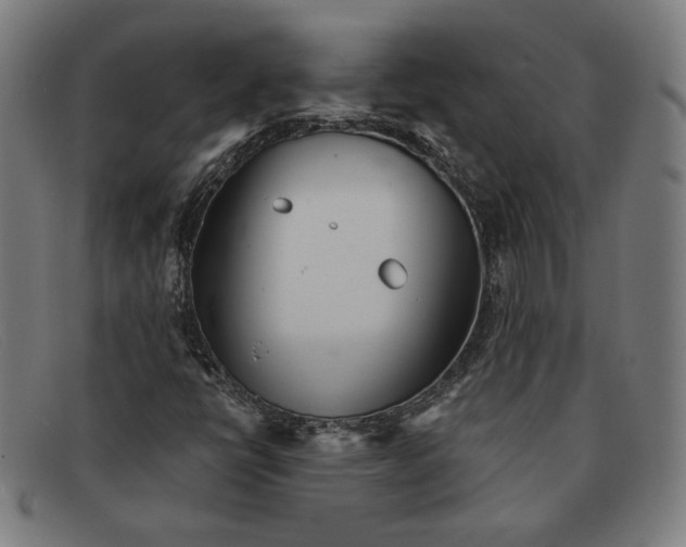 X0000091311398200708311347