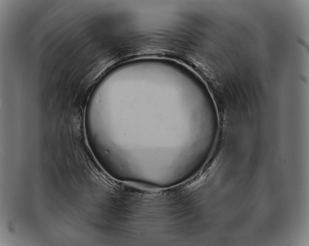 X0000091311401200708311347