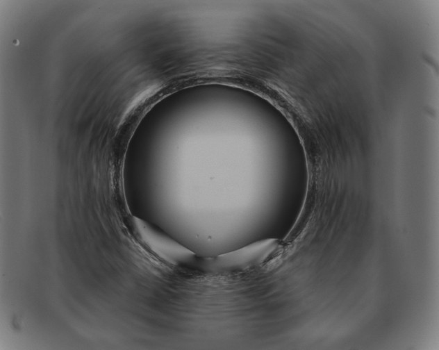 X0000091311402200708311347