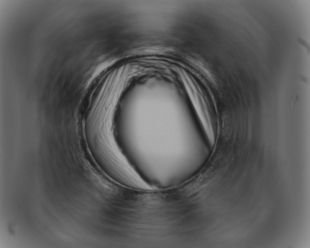 X0000091311404200708311347