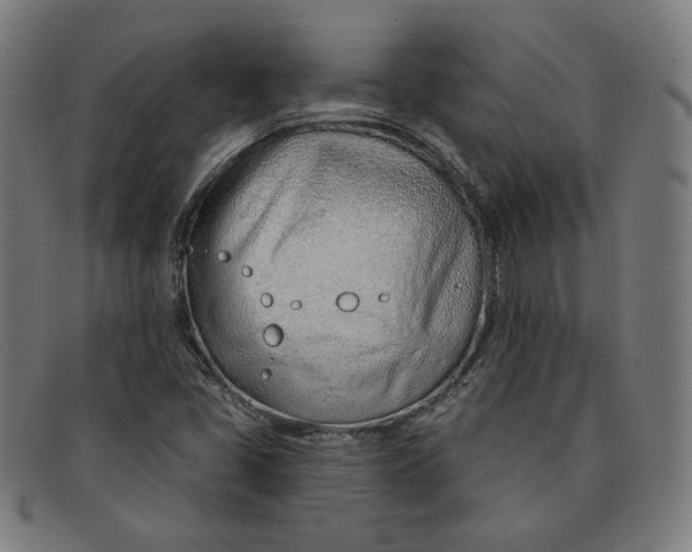 X0000091311405200708311347