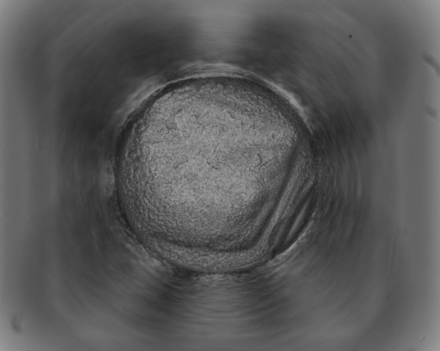 X0000091311407200708311347