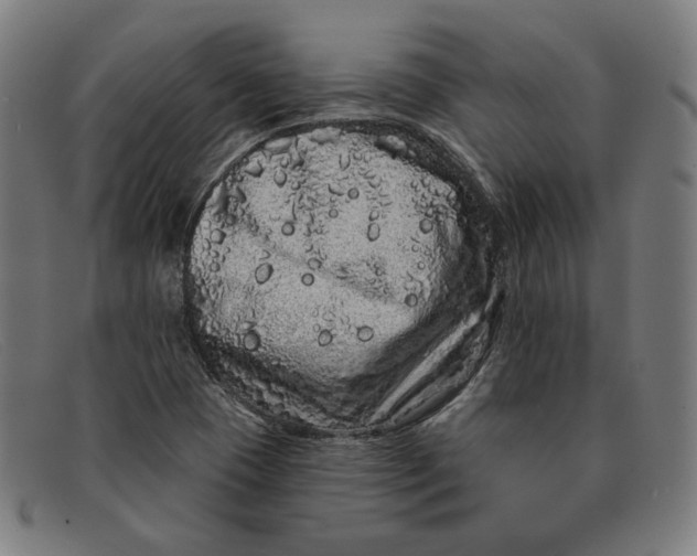 X0000091311409200708311347