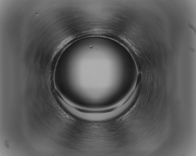 X0000091311410200708311347