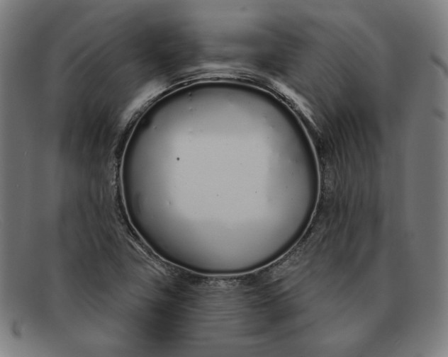 X0000091311411200708311347