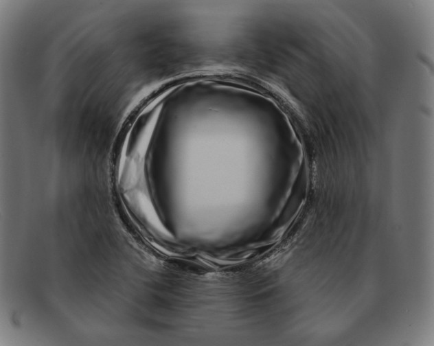 X0000091311412200708311348