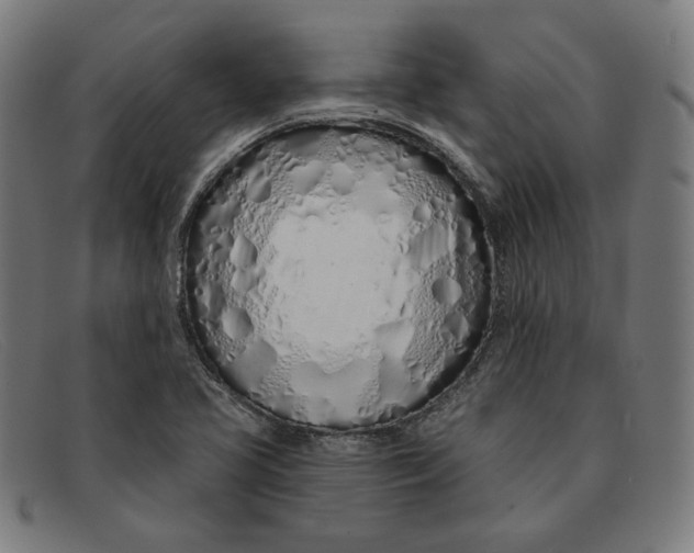 X0000091311413200708311348