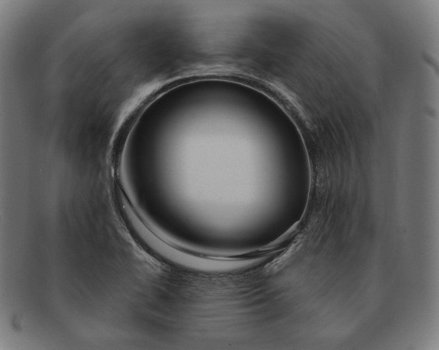 X0000091311414200708311348