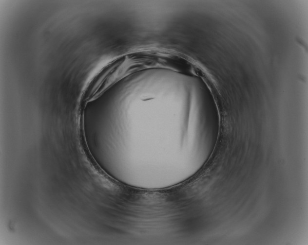 X0000091311416200708311348