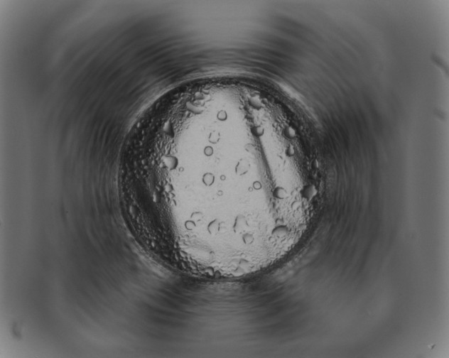 X0000091311417200708311348