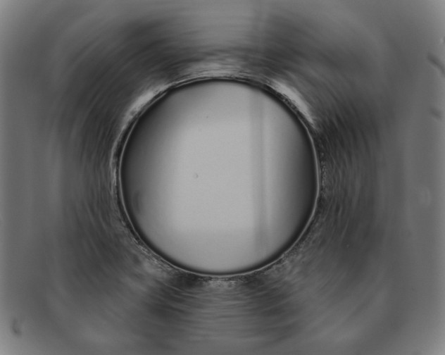 X0000091311419200708311348