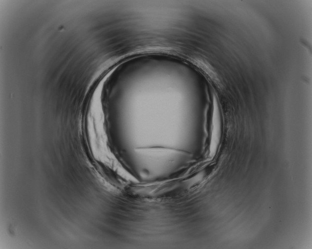 X0000091311420200708311348