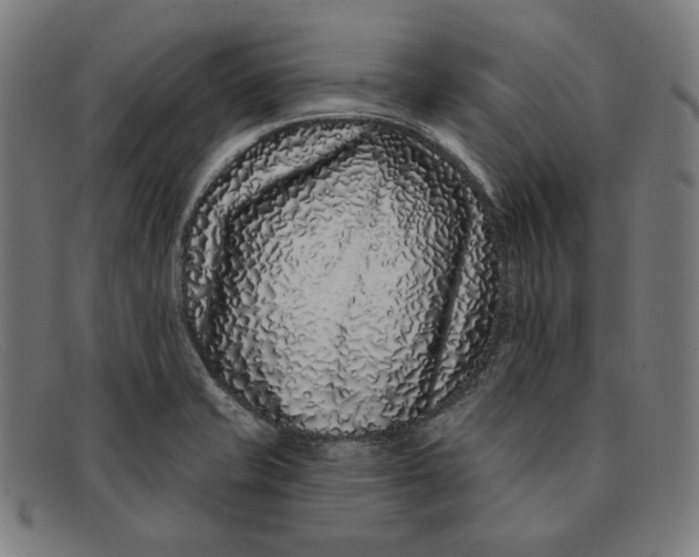 X0000091311421200708311348