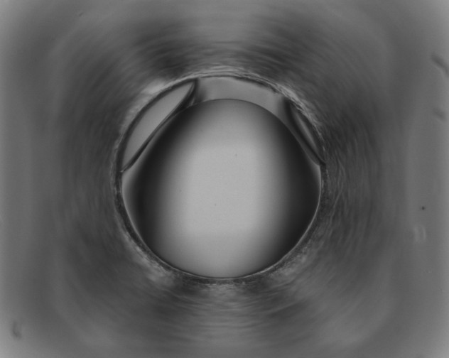 X0000091311422200708311348