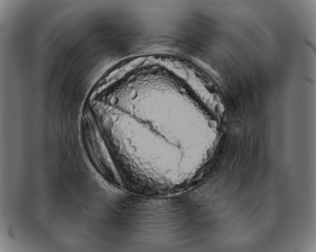 X0000091311423200708311348