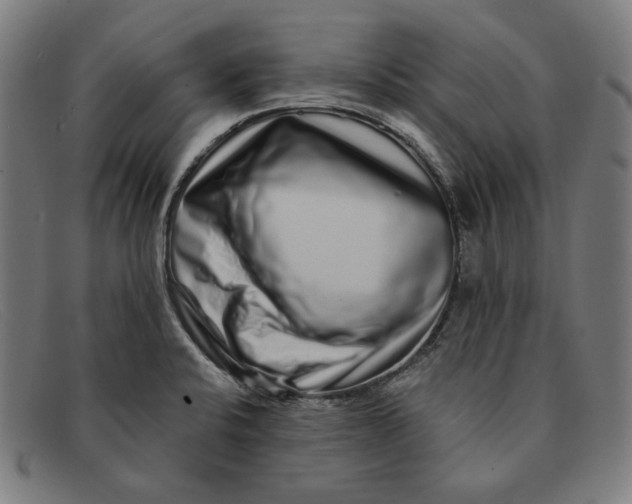 X0000091311424200708311348