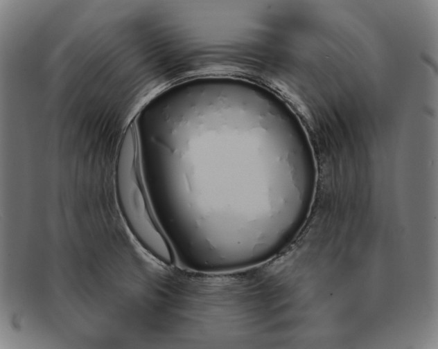 X0000091311425200708311348