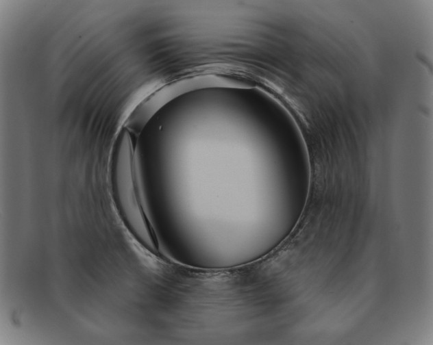 X0000091311426200708311348