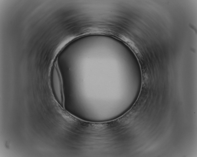 X0000091311427200708311348