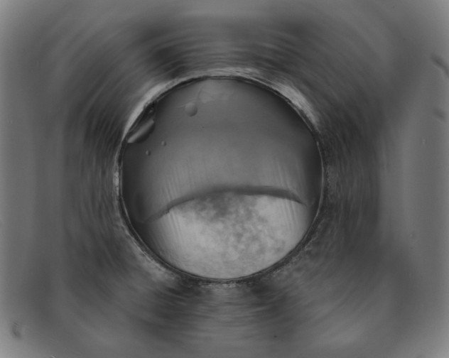 X0000091311428200708311348