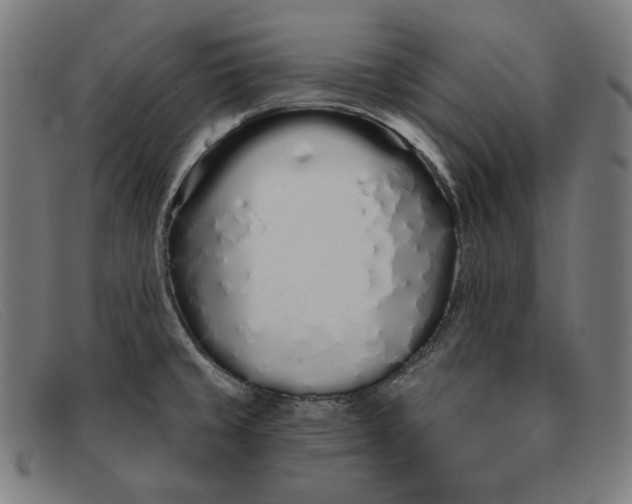 X0000091311429200708311348