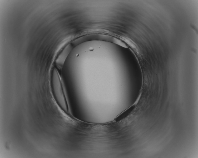 X0000091311430200708311348