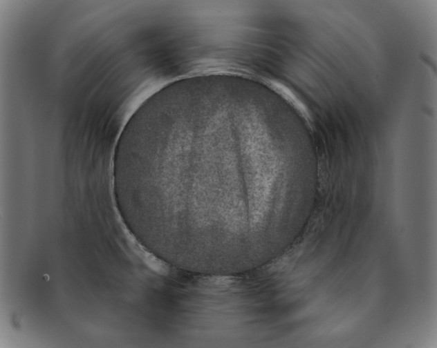 X0000091311431200708311348