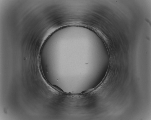 X0000091311432200708311348