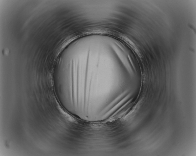 X0000091311433200708311348