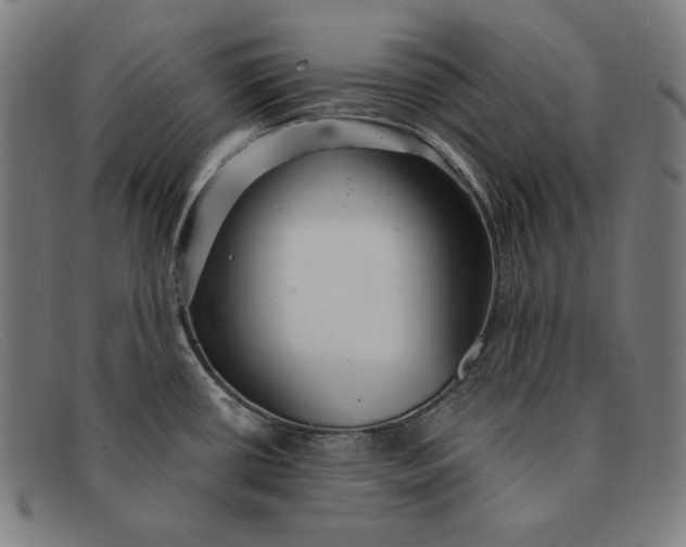 X0000091311434200708311348