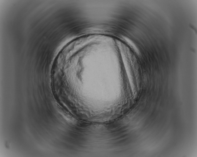 X0000091311435200708311348