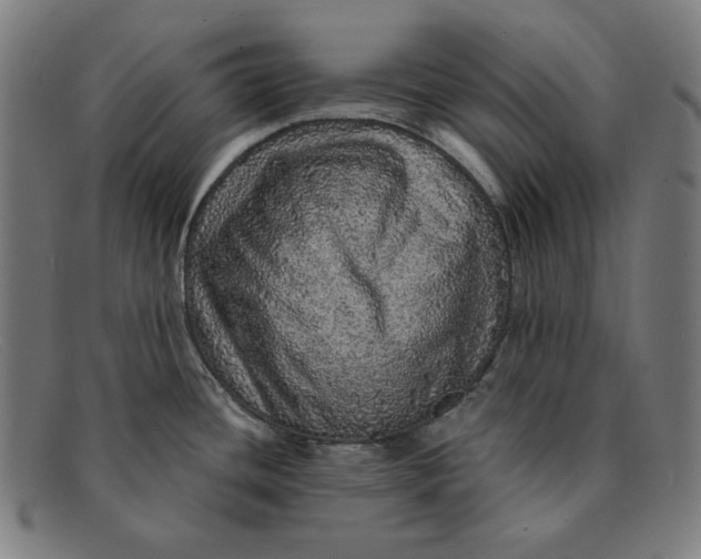 X0000091311436200708311348