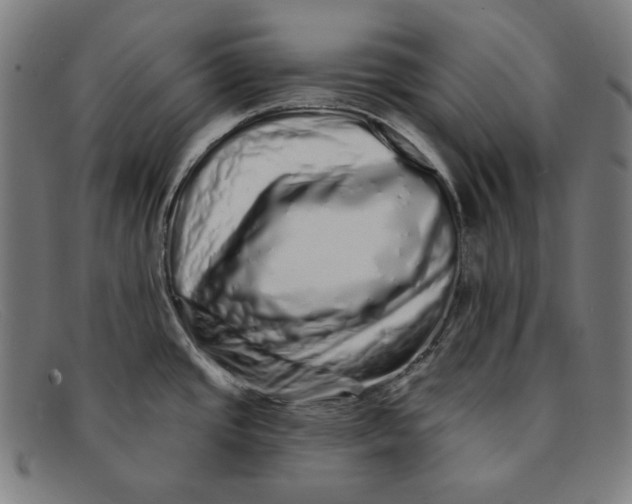 X0000091311437200708311348