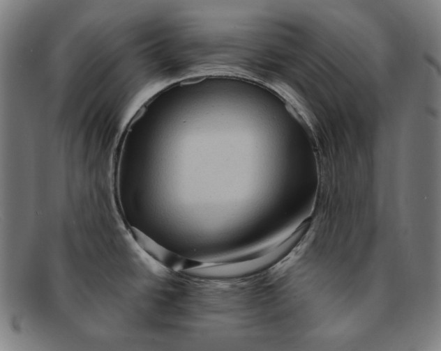 X0000091311438200708311348