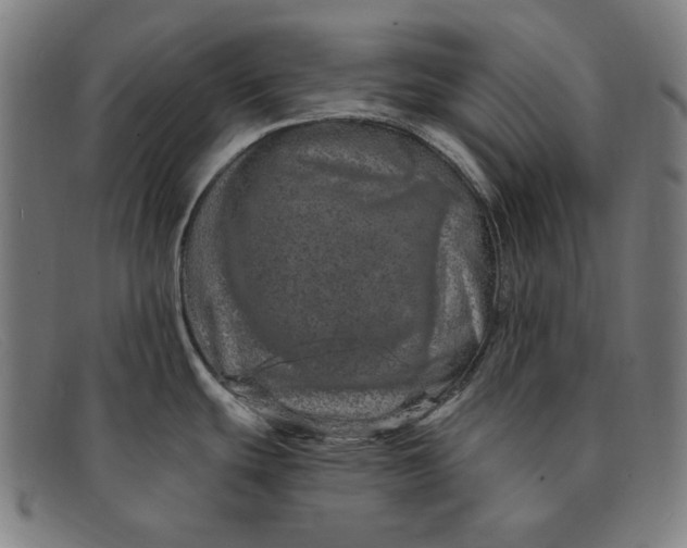 X0000091311439200708311348