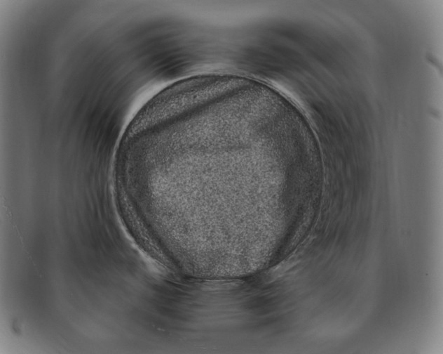 X0000091311440200708311348