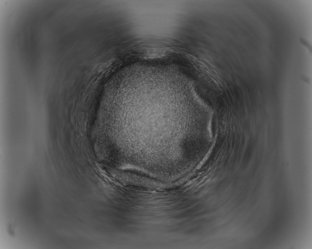 X0000091311441200708311347