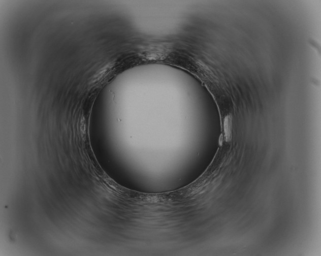 X0000091311443200708311347