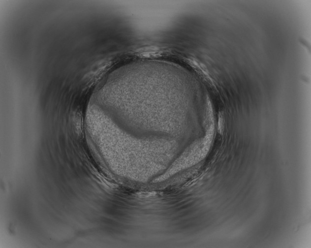 X0000091311444200708311347