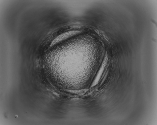 X0000091311445200708311347