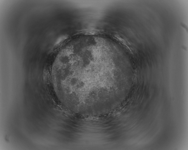 X0000091311446200708311347