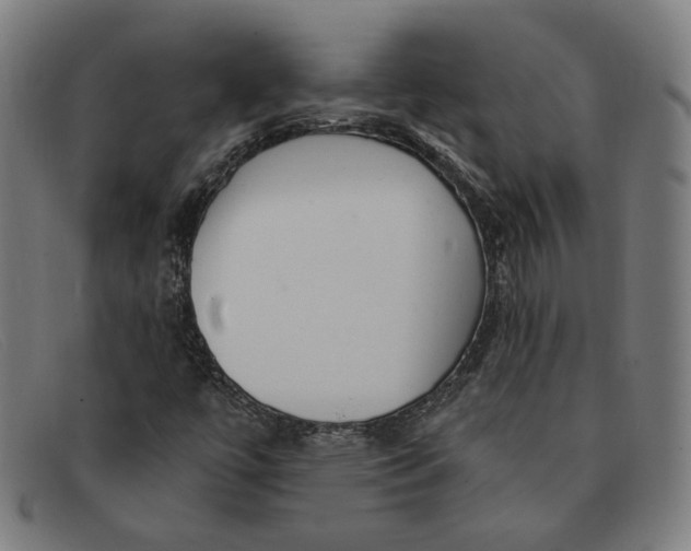 X0000091311447200708311347