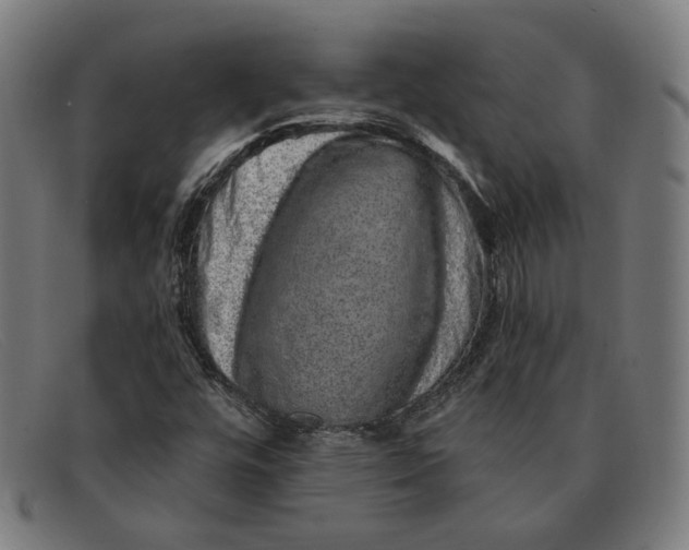 X0000091311448200708311347