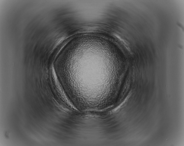 X0000091311449200708311347