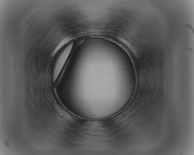 X0000091311450200708311347