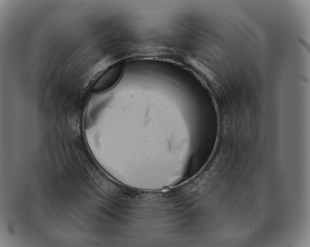 X0000091311451200708311347