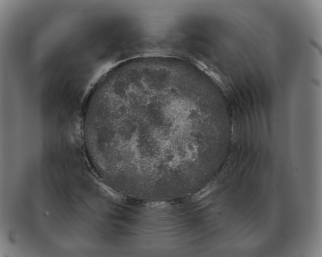 X0000091311454200708311347