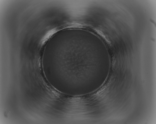 X0000091311455200708311347